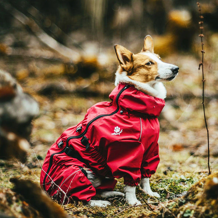 Four Legged All Inclusive Pet Sweater - The Ultimate Comfort for Your Pet