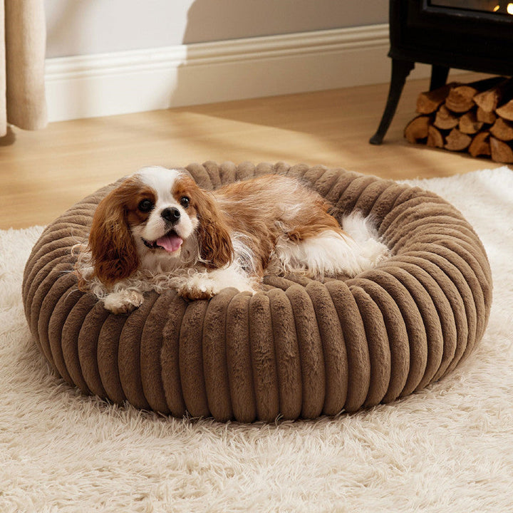 The Ultimate Comfort for Your Furry Friends