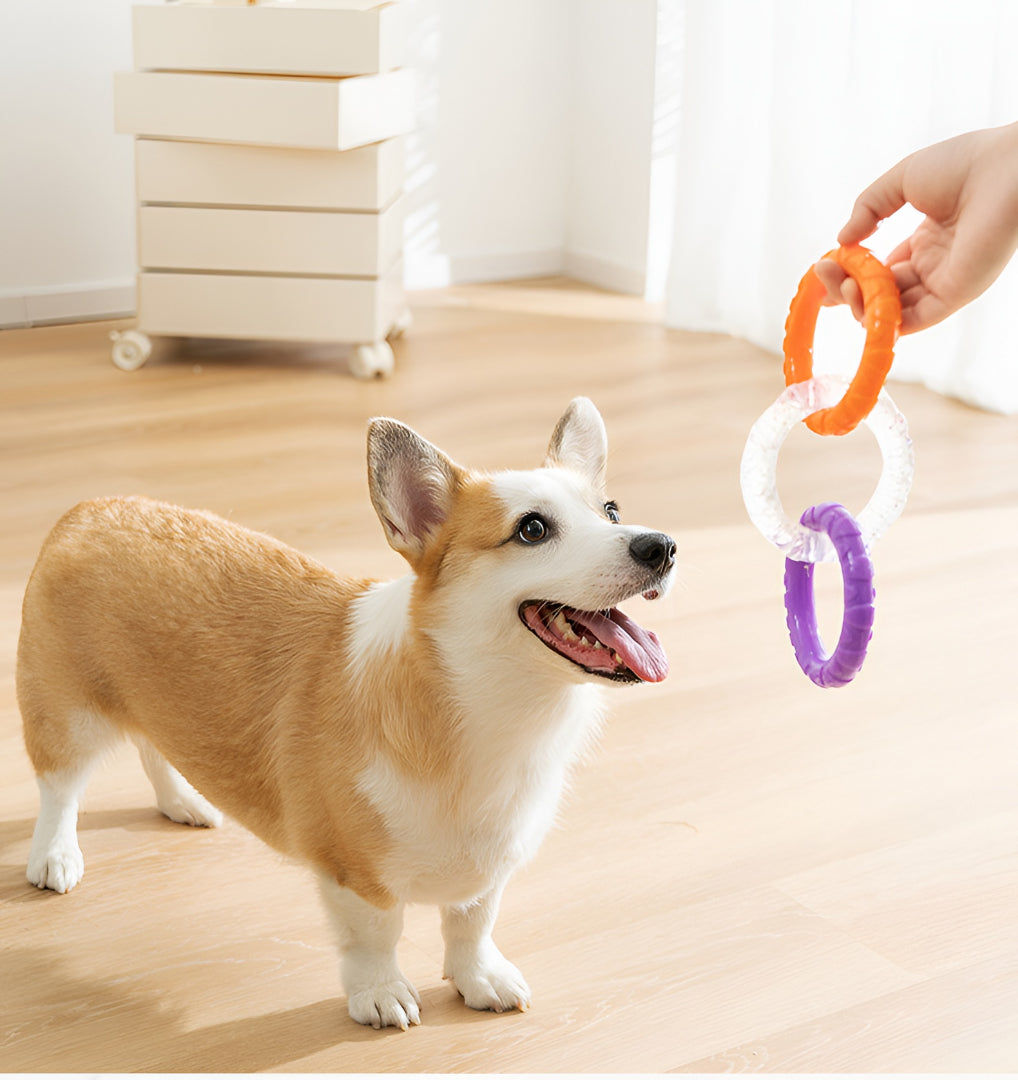 Fun And Engaging Toys For Pets Joy