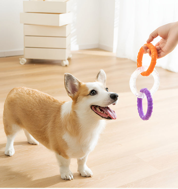 Fun And Engaging Toys For Pets Joy