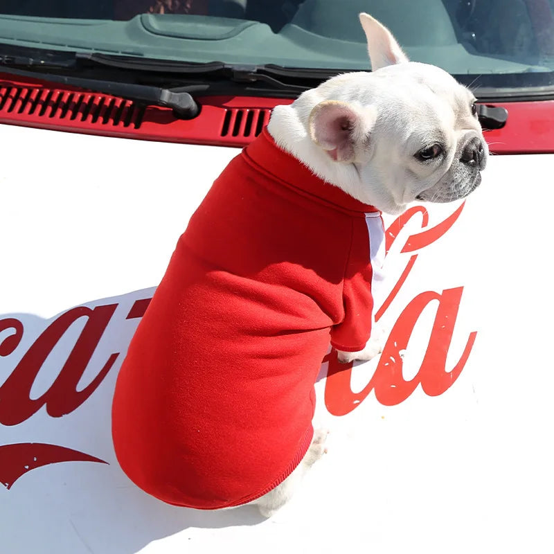 Jaqueta de Beisebol Para Cães