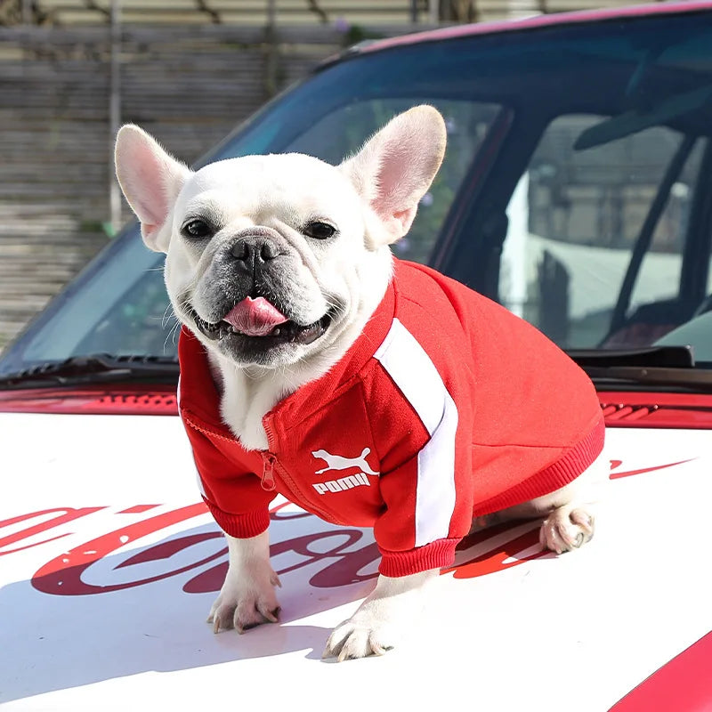 Jaqueta de Beisebol Para Cães